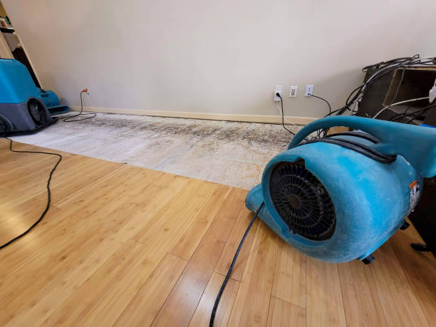 Professional Flood Damage Cleanup technician working in Pinehurst, TX